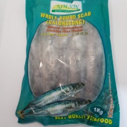 Kim Son Whole Round Scad 1KG Galunggong Frozen Fish