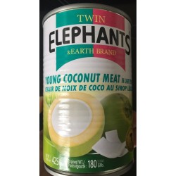Twin Elephants & Earth Brand 425g Young Coconut Meat in Light Syrup