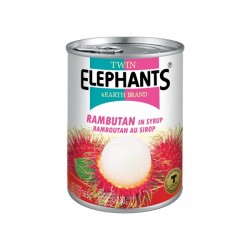 Twin Elephant & Earth Brand 565g Rambutan in Syrup