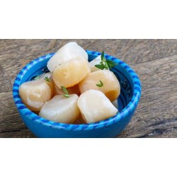 Nordic Seafood Atlantic Deep Sea Scallops