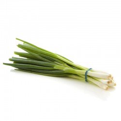 Fresh 100-150g (Aprox) Spring Onions Bunch