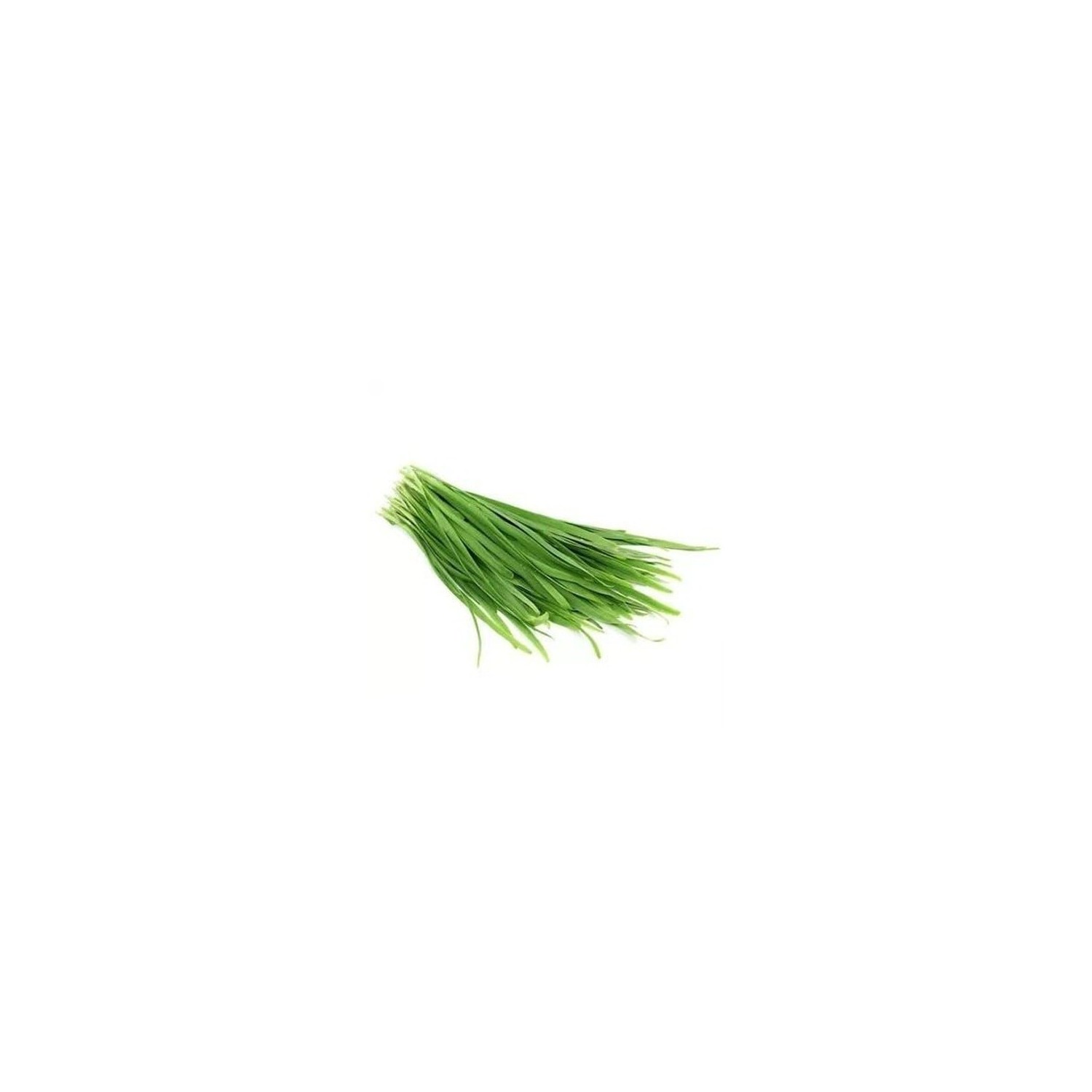 Chinese Chive Leaf 200g Fresh Chinese Chives