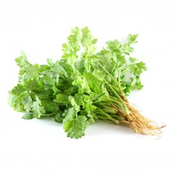 Healthy Thai Foods Thai Coriander 100g