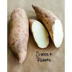 Zing Asia White Sweet Potato 400g-500g