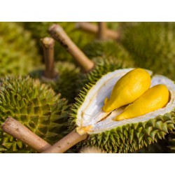 Zing Asia Fresh Durian Fruit 2.02kg Durian Fruit