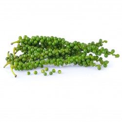 Fresh Young Green Peppercorn 100g