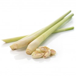 Fresh Lemon Grass 100g