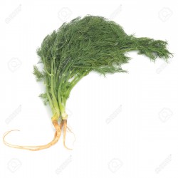 Zing Asia Fresh Dill with Root 100g