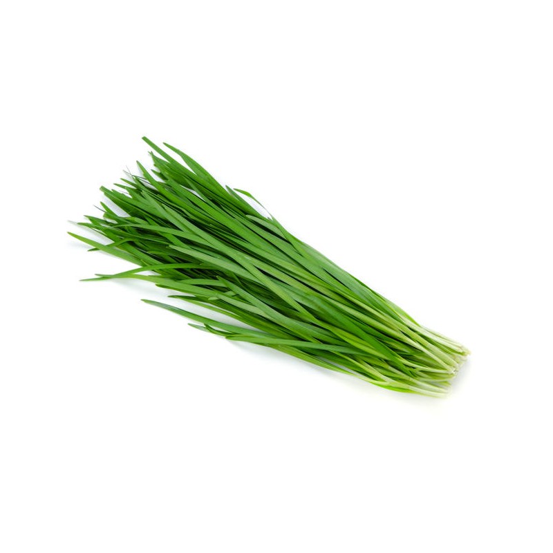 Fresh Chive Leaf 200g