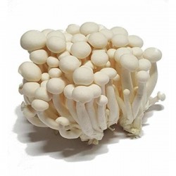 Shen Nong Bai Xue White Mushroom 150g