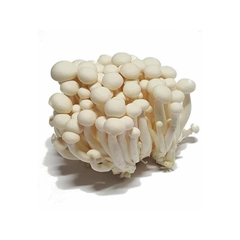 Shen Nong Bai Xue White Mushroom 150g