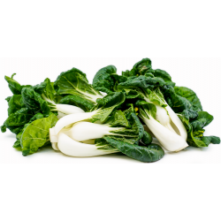 Fresh Mini Pak Choi 150-200g