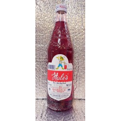 Hale's Concentrated 710ml Artificial Sala Flavoured Syrup