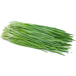 Fresh Chive Leaf 100g