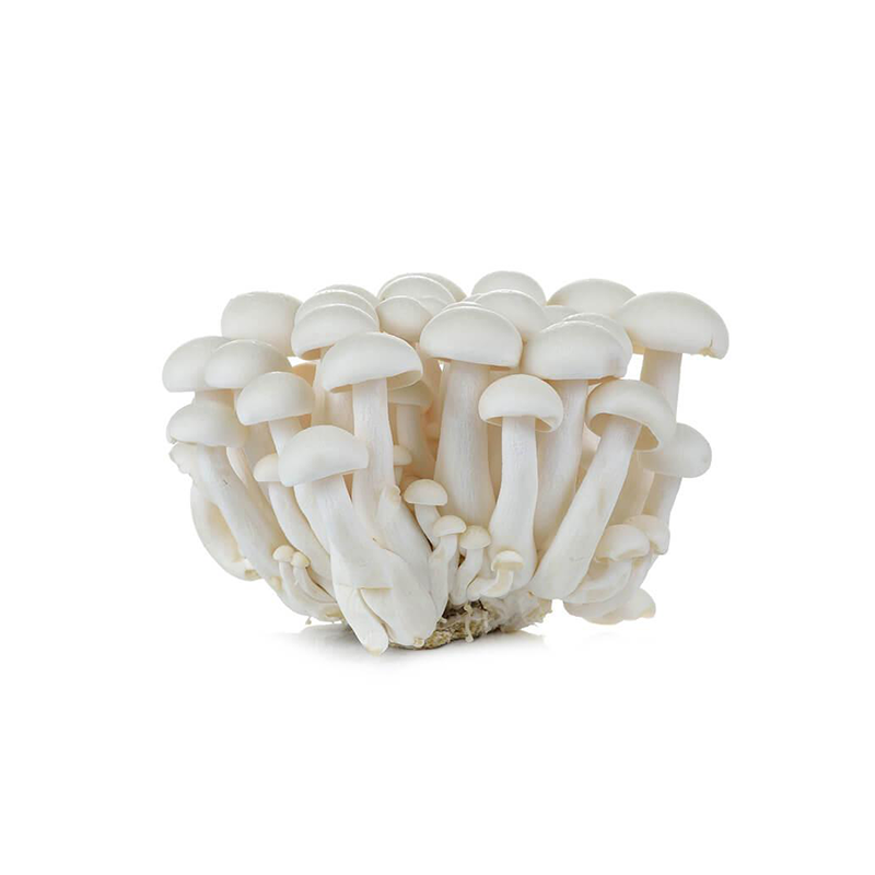 Fresh Shimeji White Mushrooms 150g