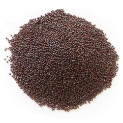 Khanum 100g Brown Mustard Seeds