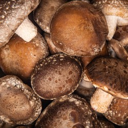 Fresh 1Kg (Approx) Shiitake Mushrooms