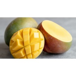 Fresh 600g-800g Brazilian Mango