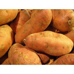 Fresh Sweet Potato 300g-400g Orange Potato