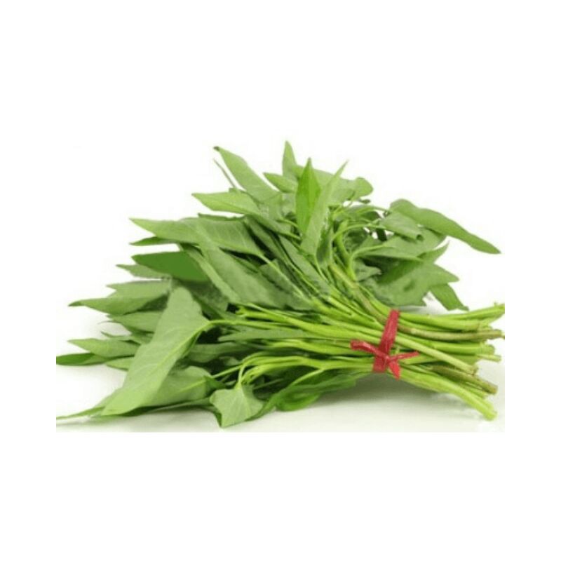 Blue Jay Chinese Morning Glory 200g Fresh Morning Glory Blue Jay Chinese Morning Glory 200g Fresh Morning Glory