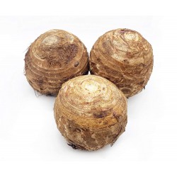 Zing Asia Fresh Taro 400-500g Fresh Taro