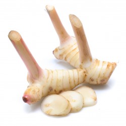 Thai Import Fresh Galangal 200g Fresh Galangal