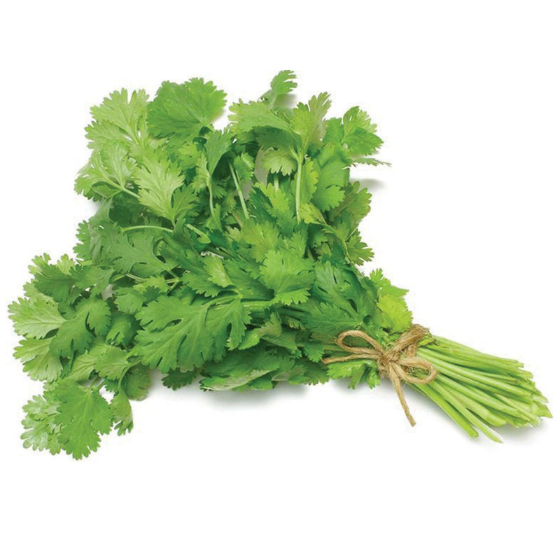 Fresh 100g Coriander without Root