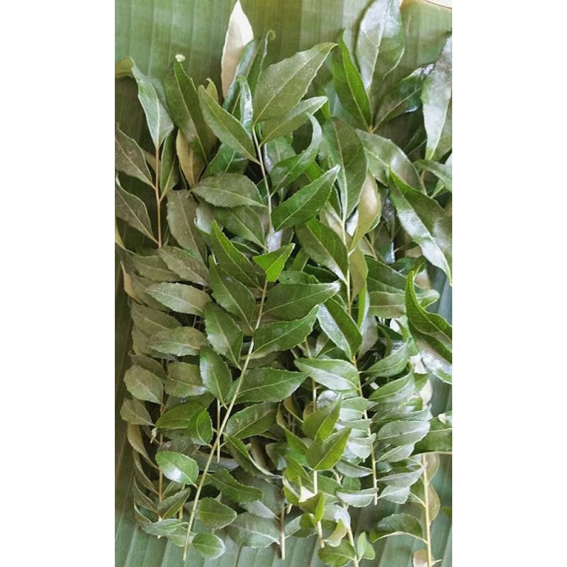 Fresh Curry Leaves 50g