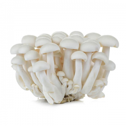 Fresh Shimeji White Mushrooms 150g