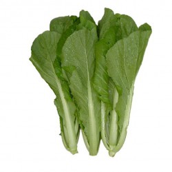 Zing Asia Fresh Kai Choi (Chinese Mustard) Cải Bẹ Xanh ℮250-300g 新鮮芥菜 Fresh Gai Choi