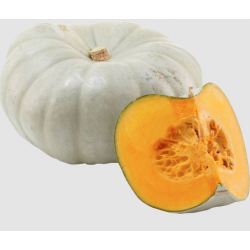 Fresh Asian Wax Pumpkin Asian Grey Skin Colour Sweet Flesh Pumpkin