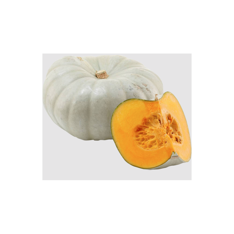 Fresh Asian Wax Pumpkin Asian Grey Skin Colour Sweet Flesh Pumpkin Fresh Asian Wax Pumpkin Asian Grey Skin Colour Sweet Flesh Pumpkin