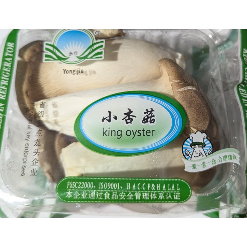 Yong Jia King Oyster Mushroom 200g Fresh Oyster Mushrooms Yong Jia King Oyster Mushroom 200g Fresh Oyster Mushrooms