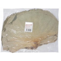 Zing Asia Dried Lotus Leaf 400g Pack of Dried Lotus Leaf